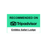 TripAdvisor Recommended badge Entikko Safari Lodge